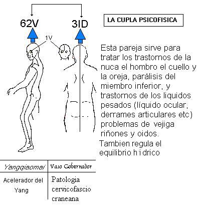 Spondilez sheynogo del departamento de la columna vertebral a que médico