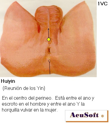puntos de impotencia de acupuntura